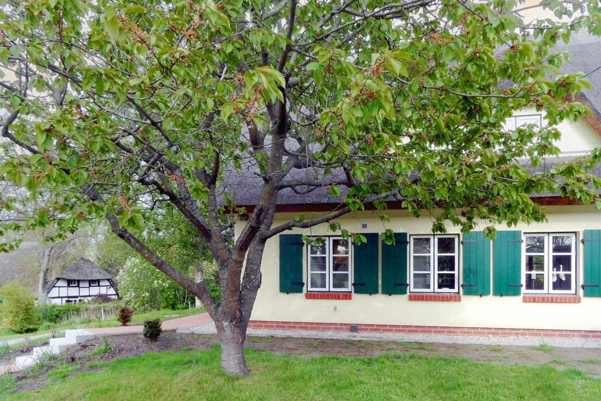 Ferienhaus Preetz 1A - Idylle Unter Reet Burtevitz Exterior foto